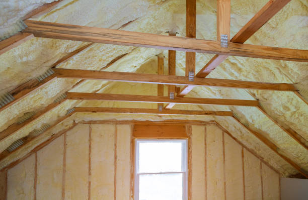 Professional Insulation Contractor in Southwest Sandhill, TX