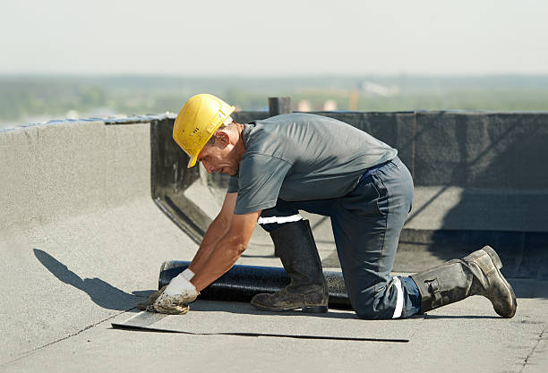 Best Eco-Friendly Insulation in Southwest Sandhill, TX