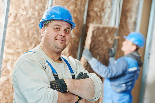 Best Cellulose Insulation in Southwest Sandhill, TX