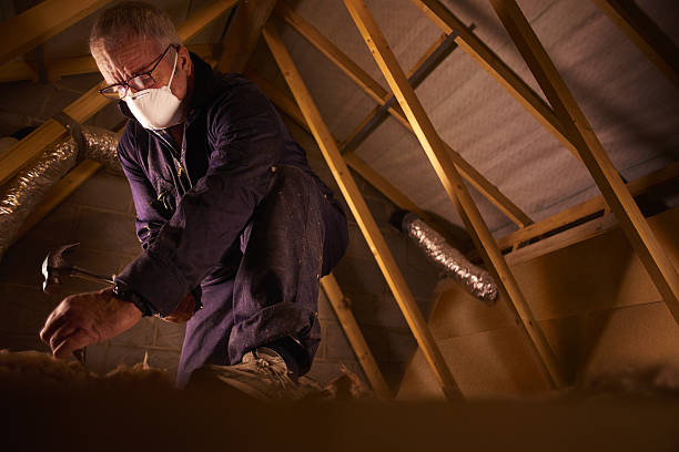 Best Residential Insulation in Southwest Sandhill, TX